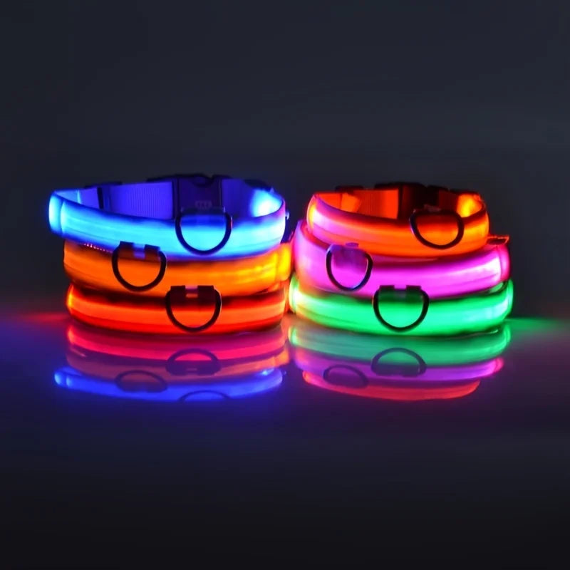 Glow-in-the-Dark LED Dog Leash - Nylon Night Safety Leash with Flashing Light