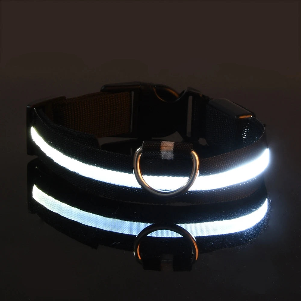 Glow-in-the-Dark LED Dog Leash - Nylon Night Safety Leash with Flashing Light