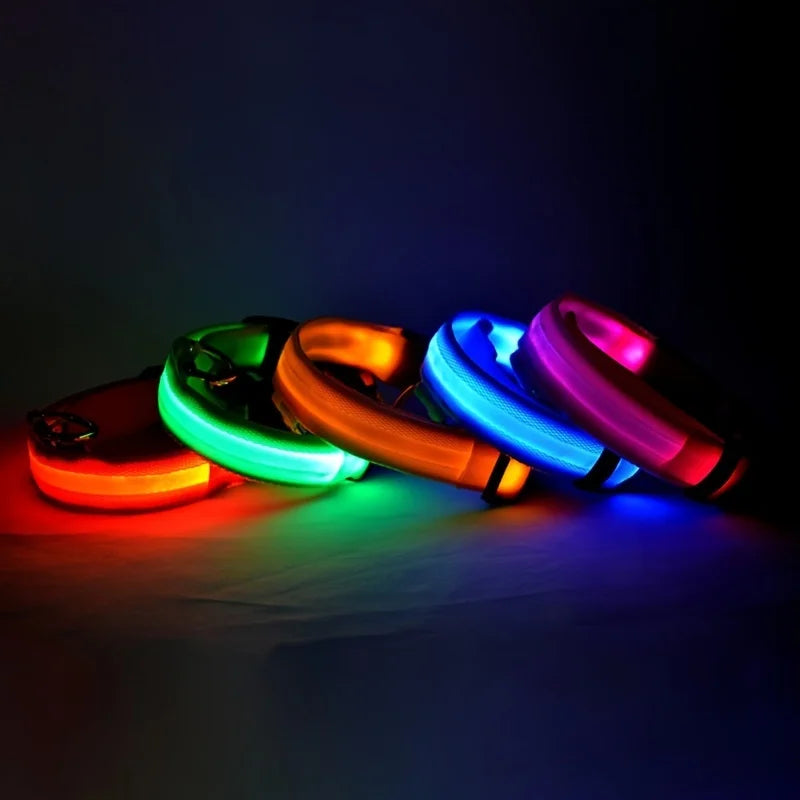 Glow-in-the-Dark LED Dog Leash - Nylon Night Safety Leash with Flashing Light