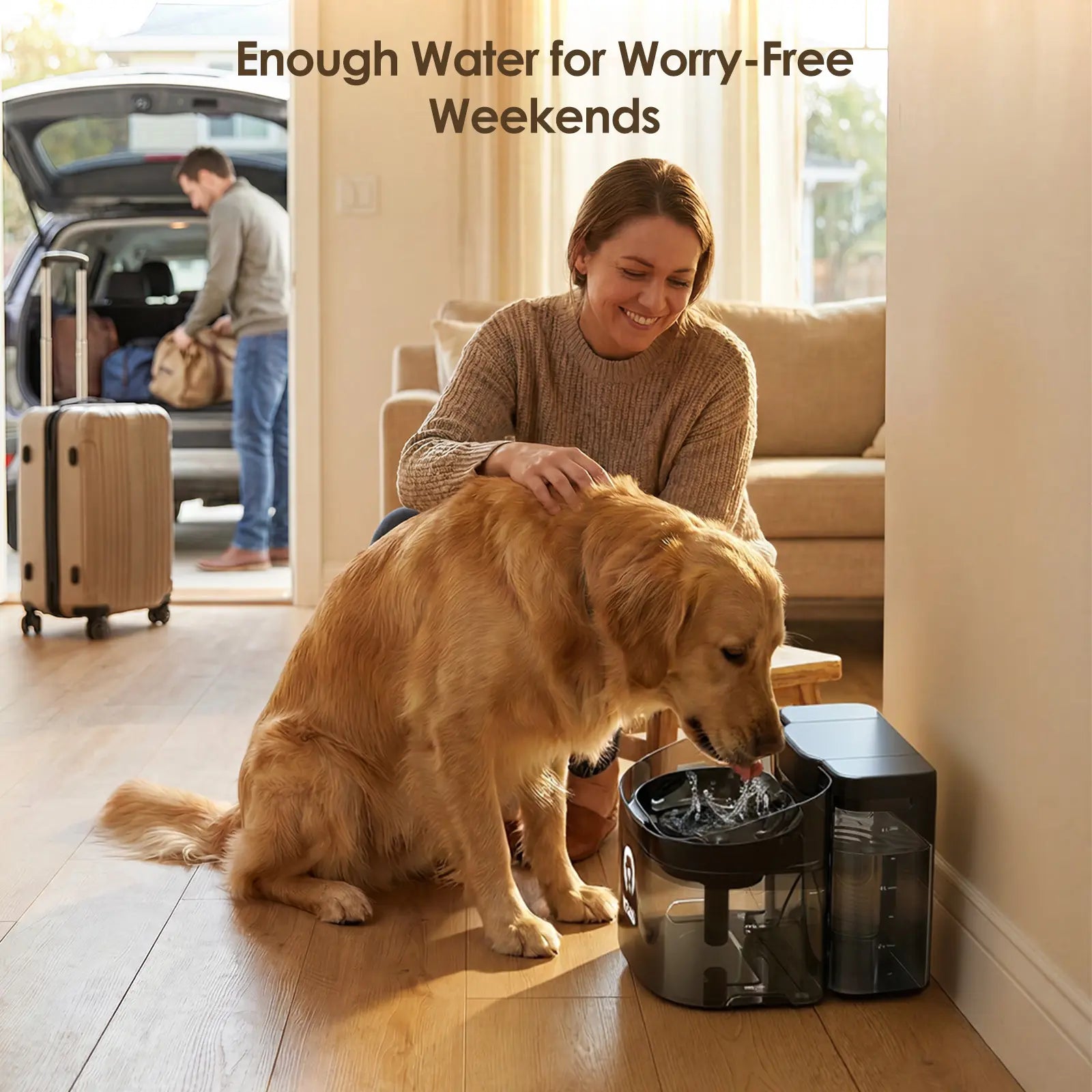 VEWO 11L Large Dog Water Fountain for Big Breeds, No Spill Dog Water Bowl Dispenser with Deep Basin, BPA Free, Ultra Quiet, 7 Days No Refill for Large Dogs/Multi-Pet Homes,Dealsforyoudays
