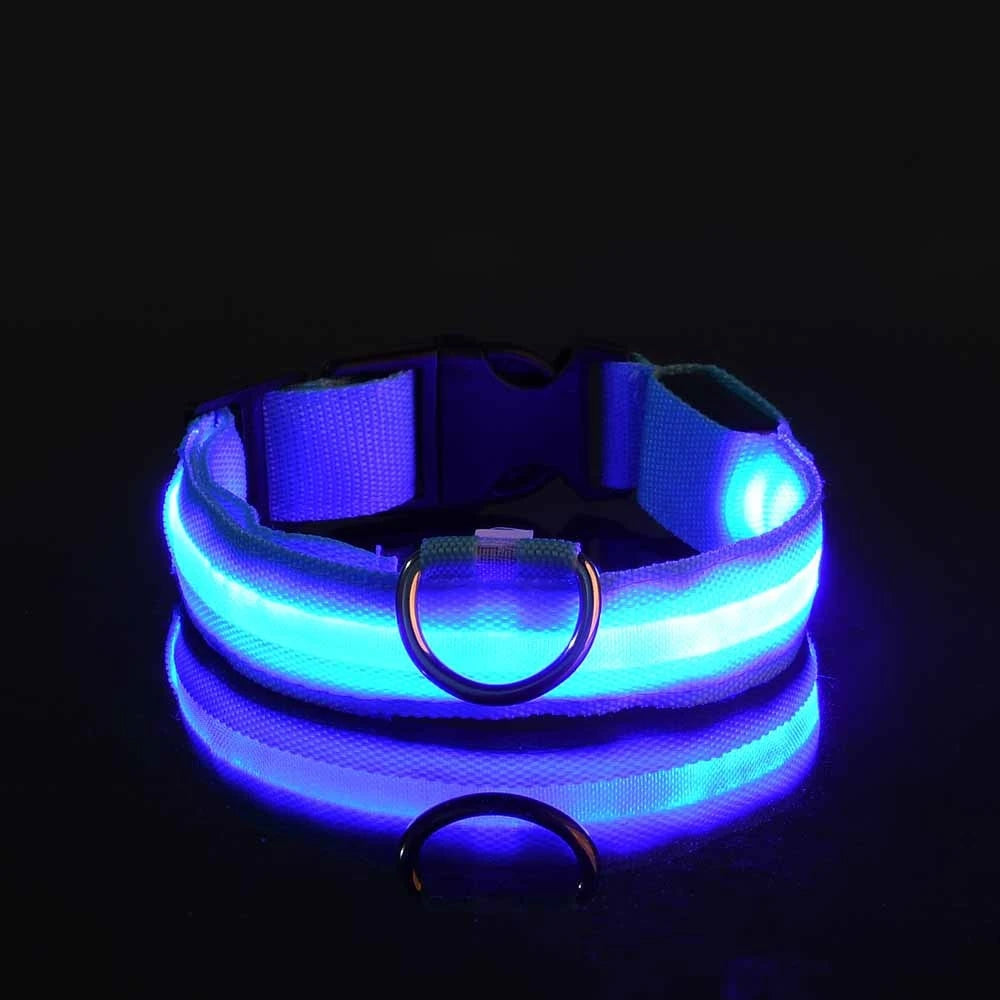Glow-in-the-Dark LED Dog Leash - Nylon Night Safety Leash with Flashing Light