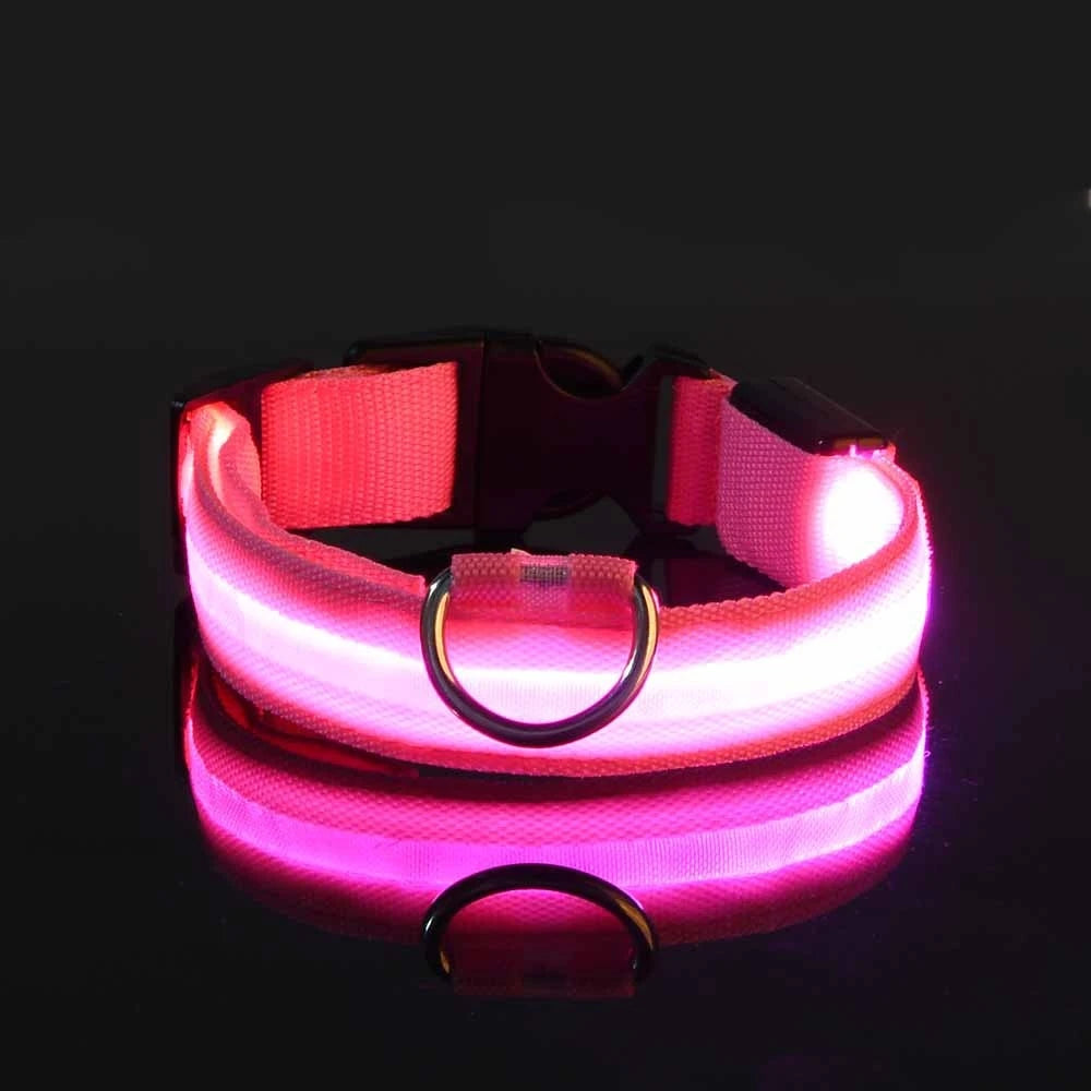 Glow-in-the-Dark LED Dog Leash - Nylon Night Safety Leash with Flashing Light