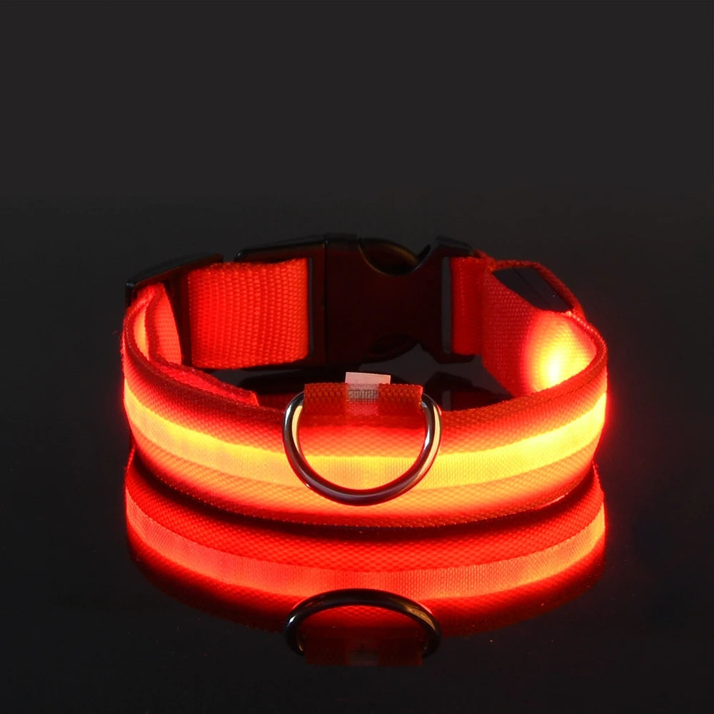 Glow-in-the-Dark LED Dog Leash - Nylon Night Safety Leash with Flashing Light