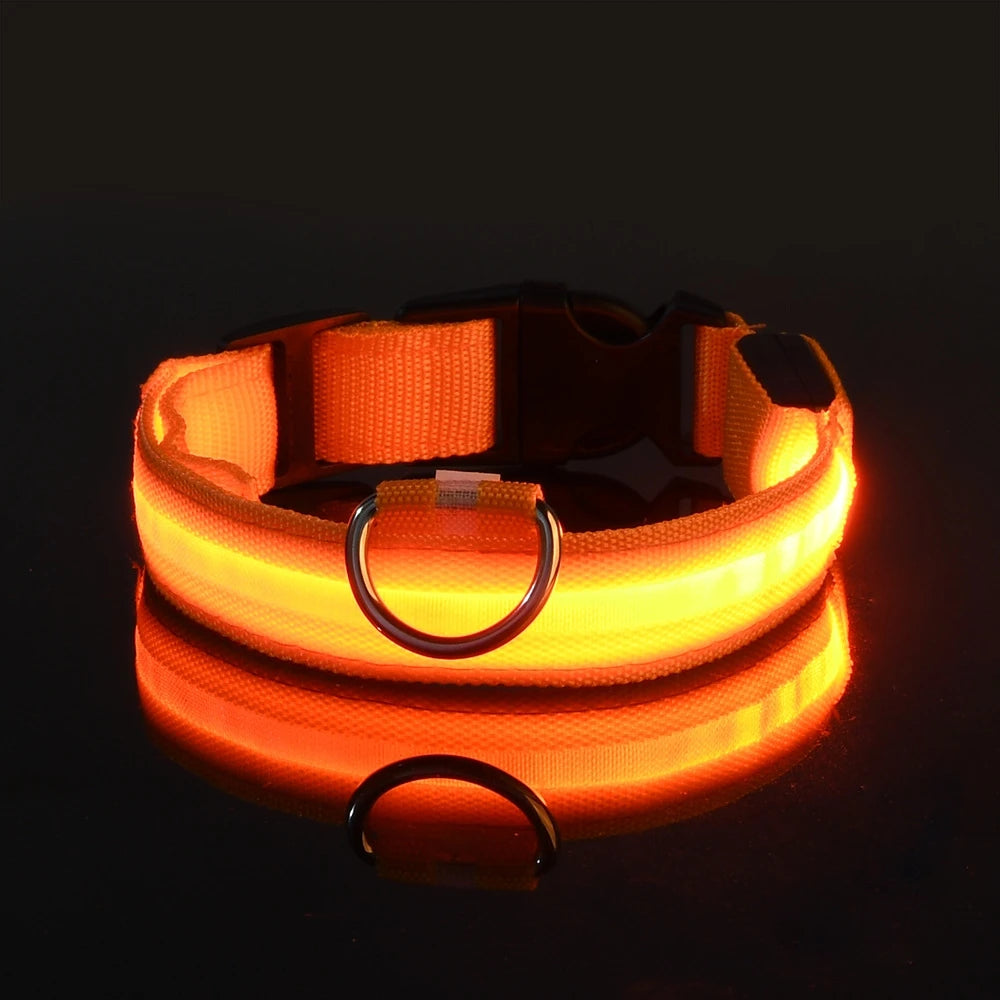 Glow-in-the-Dark LED Dog Leash - Nylon Night Safety Leash with Flashing Light