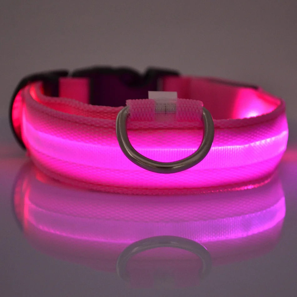 Glow-in-the-Dark LED Dog Leash - Nylon Night Safety Leash with Flashing Light