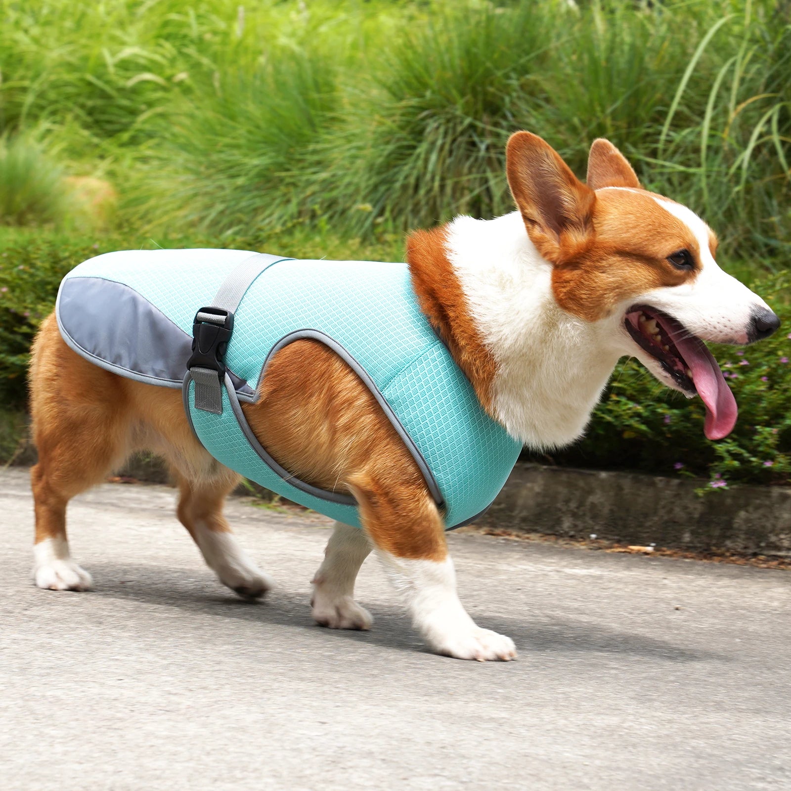 Instant Cooling Dog Vest – Soak, Wring & Go