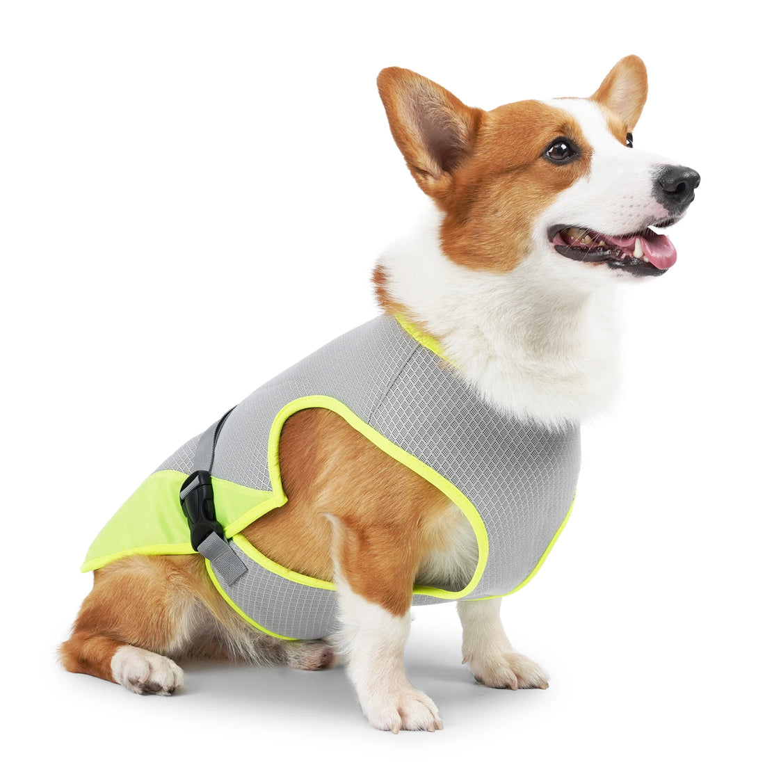 Instant Cooling Dog Vest – Soak, Wring & Go