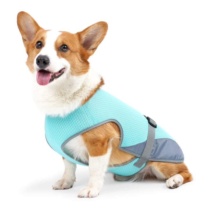 Instant Cooling Dog Vest – Soak, Wring & Go