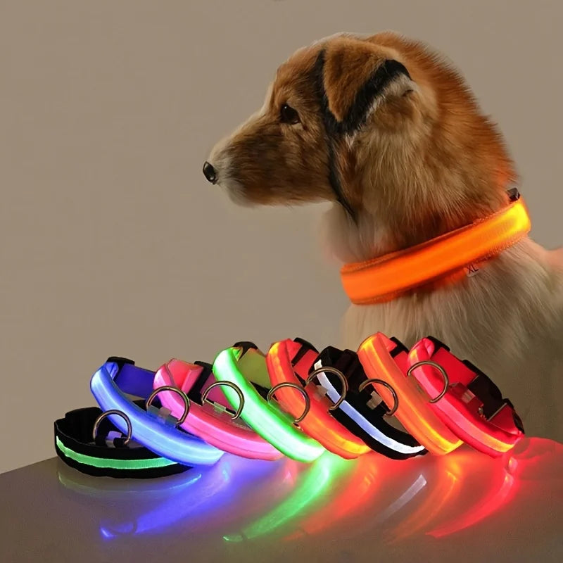 Glow-in-the-Dark LED Dog Leash - Nylon Night Safety Leash with Flashing Light