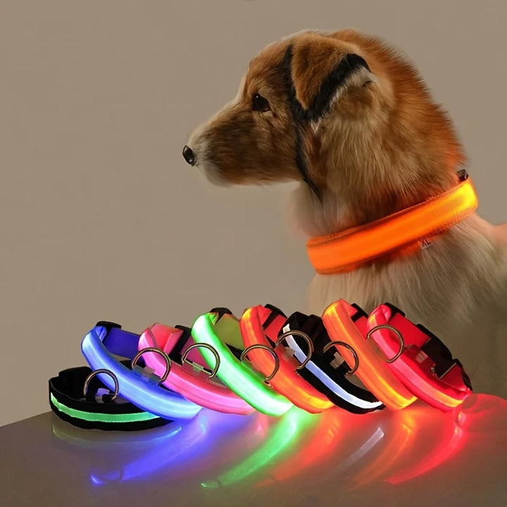 Glow-in-the-Dark LED Dog Leash - Nylon Night Safety Leash with Flashing Light