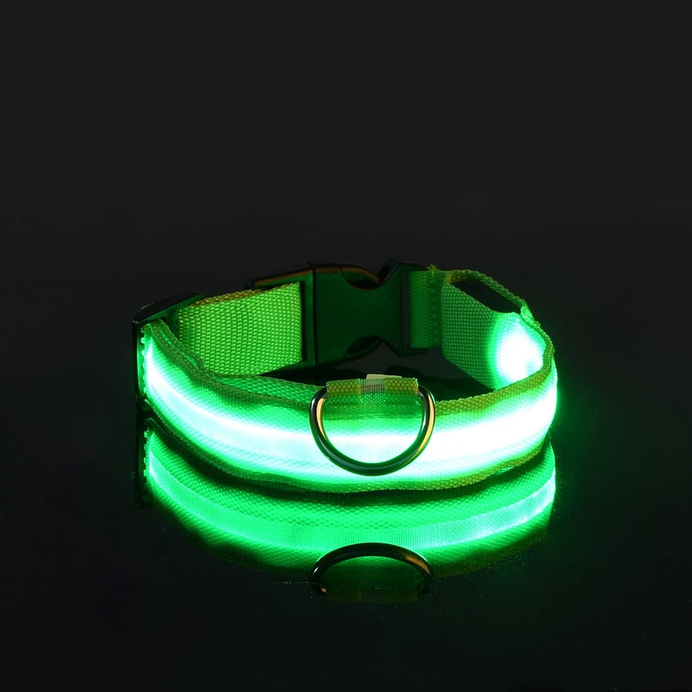 Glow-in-the-Dark LED Dog Leash - Nylon Night Safety Leash with Flashing Light