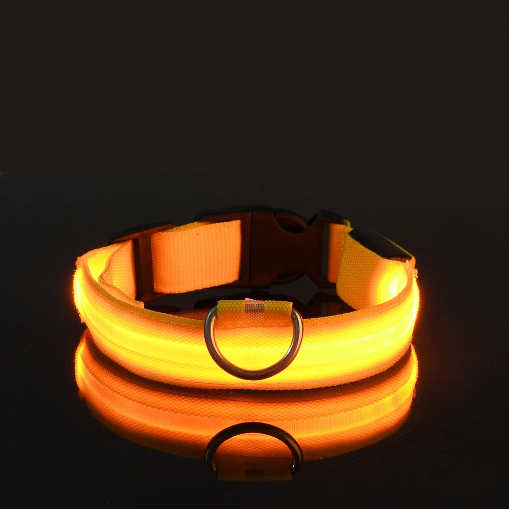 Glow-in-the-Dark LED Dog Leash - Nylon Night Safety Leash with Flashing Light
